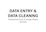 data entry professionale, pulizia database e file excel o sheets